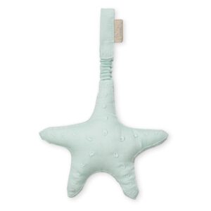 Cam Cam babygym speeltje zeester - mint