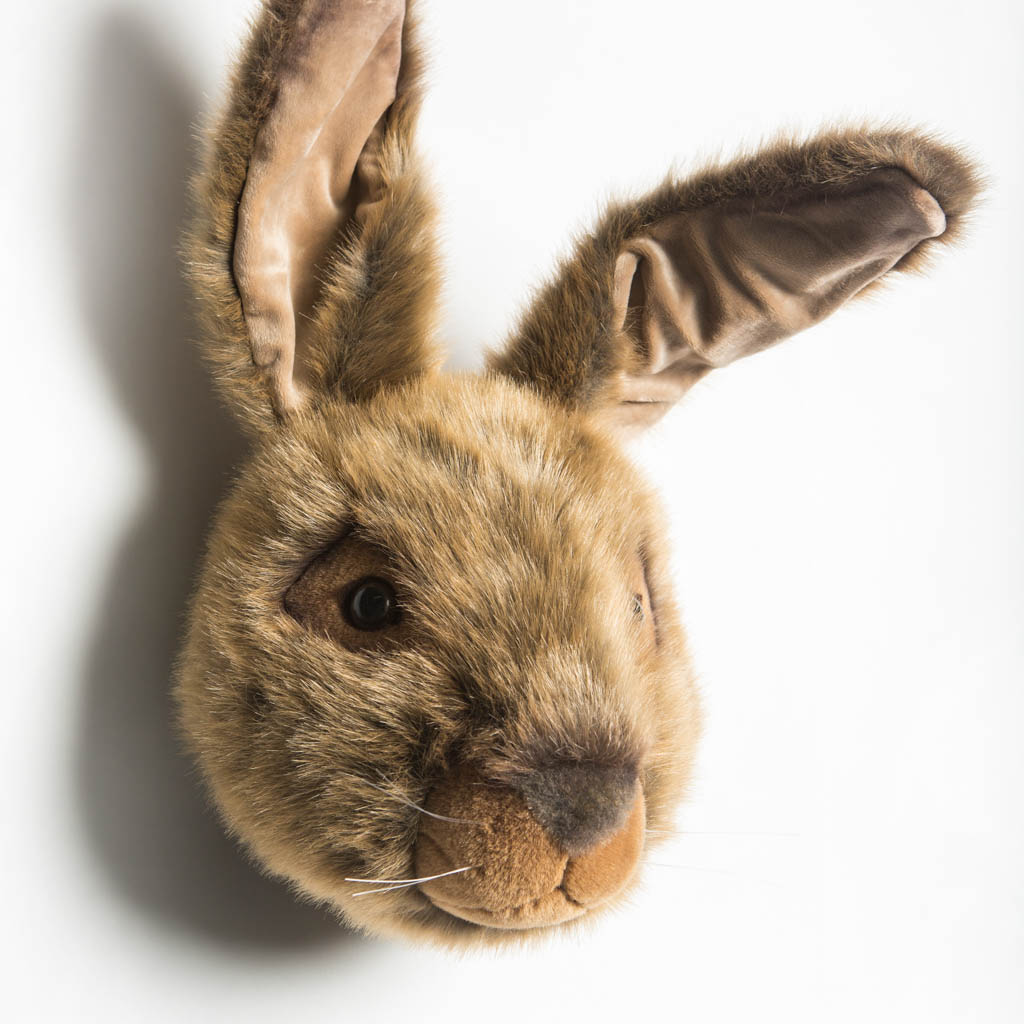 Wild and Soft dierenkop haas