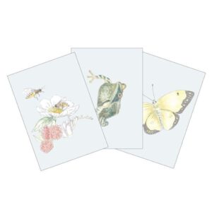 Cam Cam wenskaarten set van 3