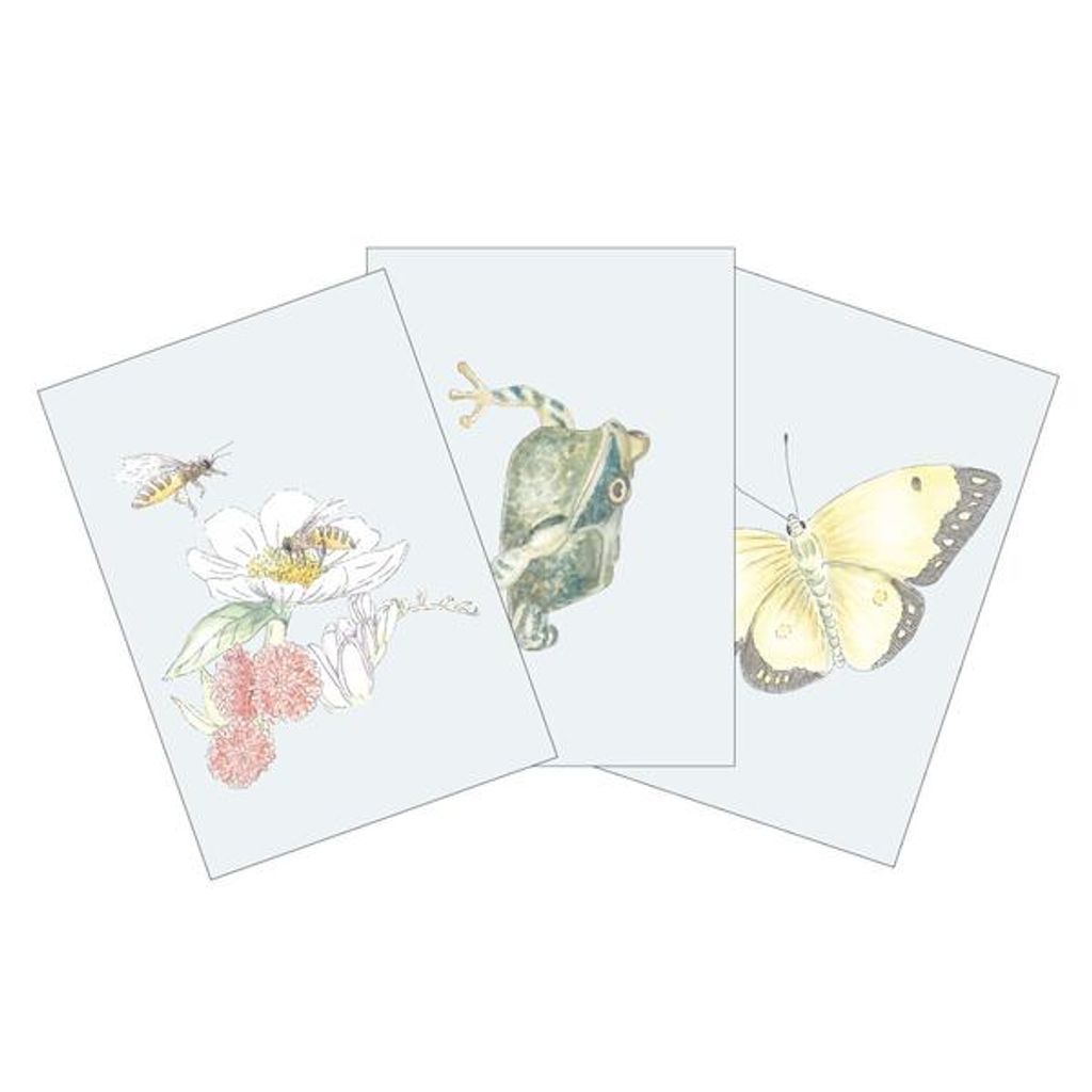 Cam Cam wenskaarten set van 3