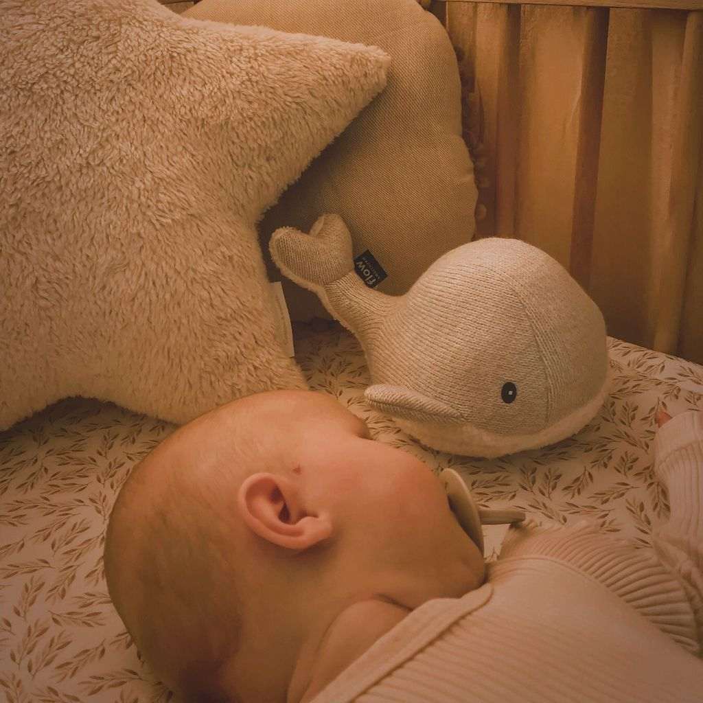 Flow Amsterdam knuffel met hartslag walvis - grijs - Afbeelding 7
