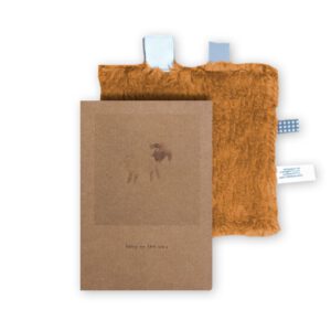 Snoozebaby kraamcadeau knuffeldoekje met kaart - toffee