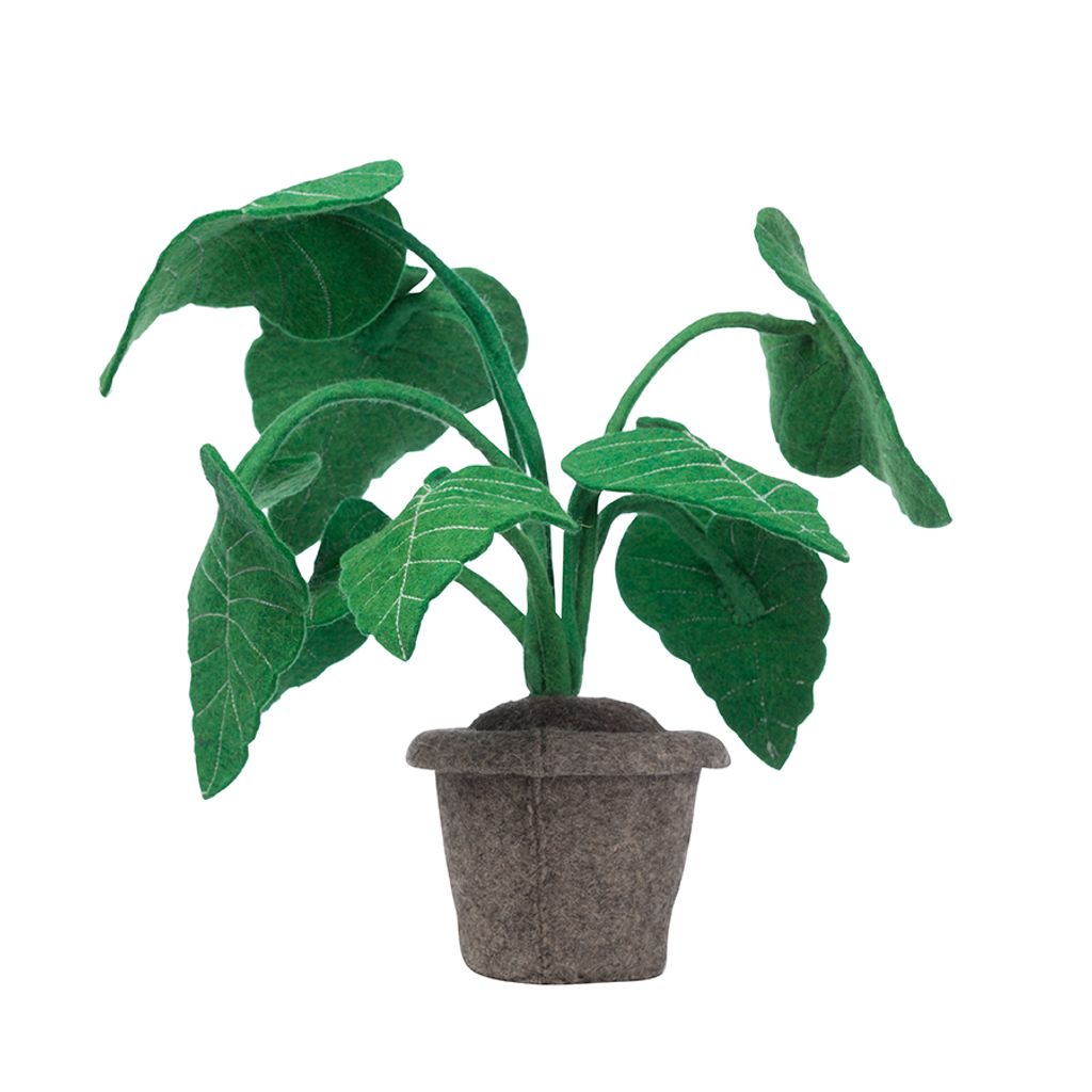 KidsDepot vilten plant - Alocasia
