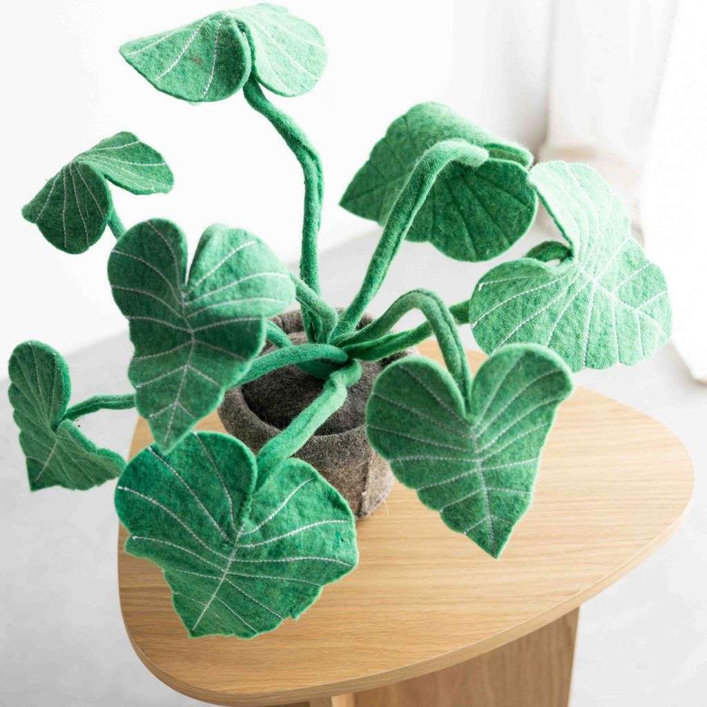 KidsDepot vilten plant - Alocasia - Afbeelding 2