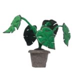 Groen Groen