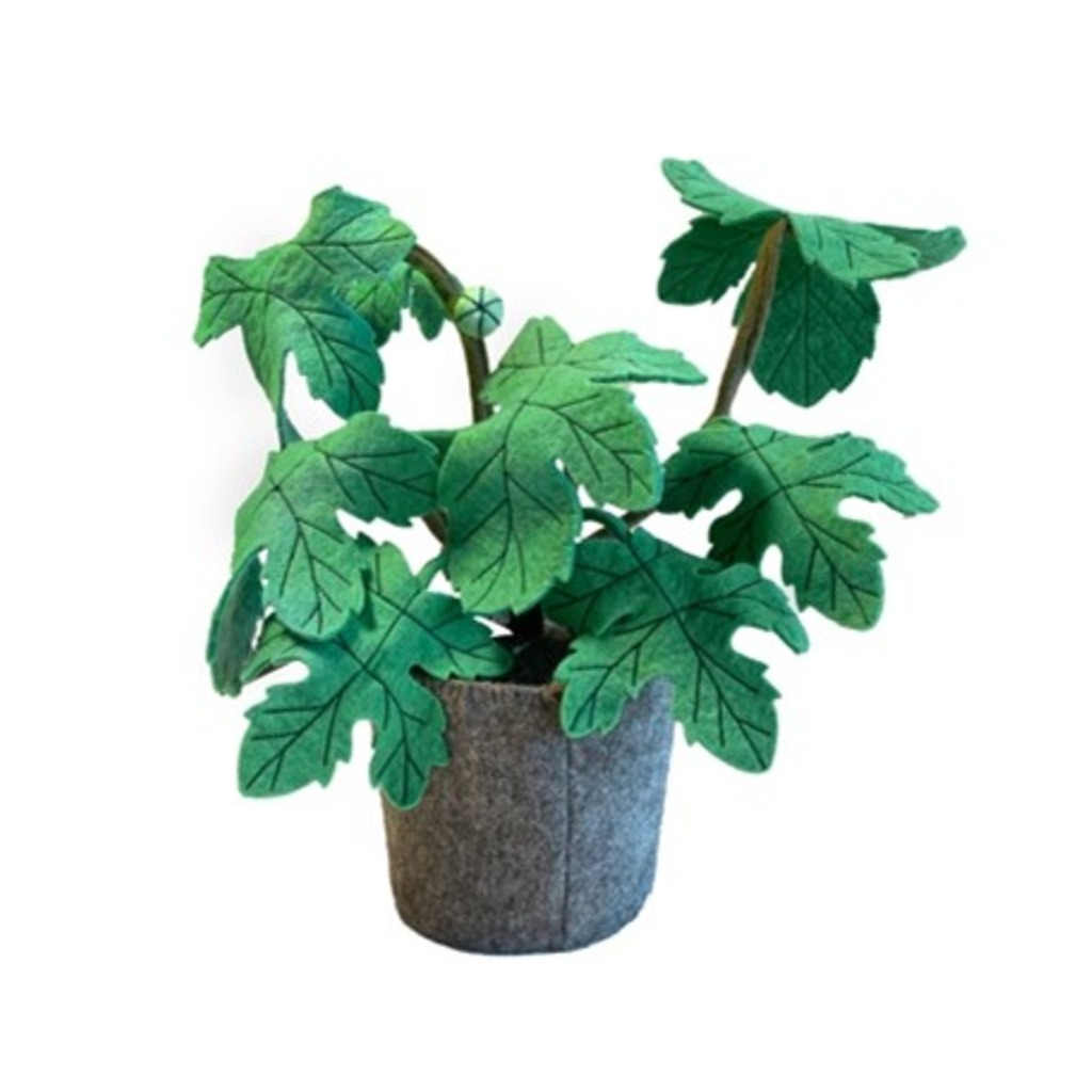 KidsDepot vilten plant ficus carica