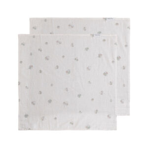 Baby's Only hydrofiele doeken tender set van twee 65x65 - clover