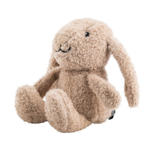 Knuffel met lampje