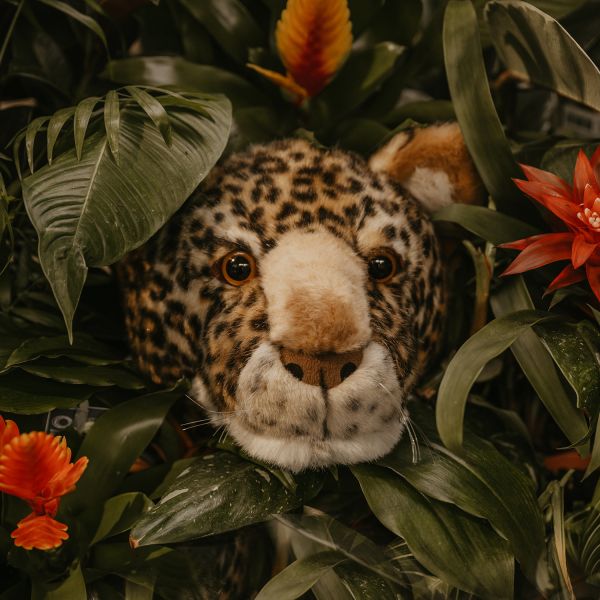 Wild and Soft dierenkop kinderkamer luipaard - Afbeelding 2